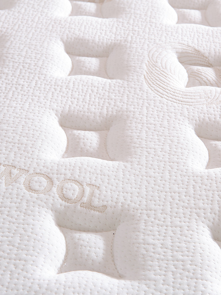 Hong Kong Simmons Mattress Top Ten Official Flagship Store Coconut Palm Hard Latex Soft For Home Bedroom Thickness 20cm Removable Washable