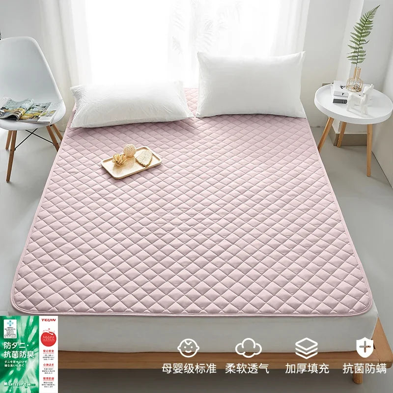 Dropshipping Customizable Size Mattress Soft Mattress Home Tatami Mat Was The Floor Mat Student SA17-6599