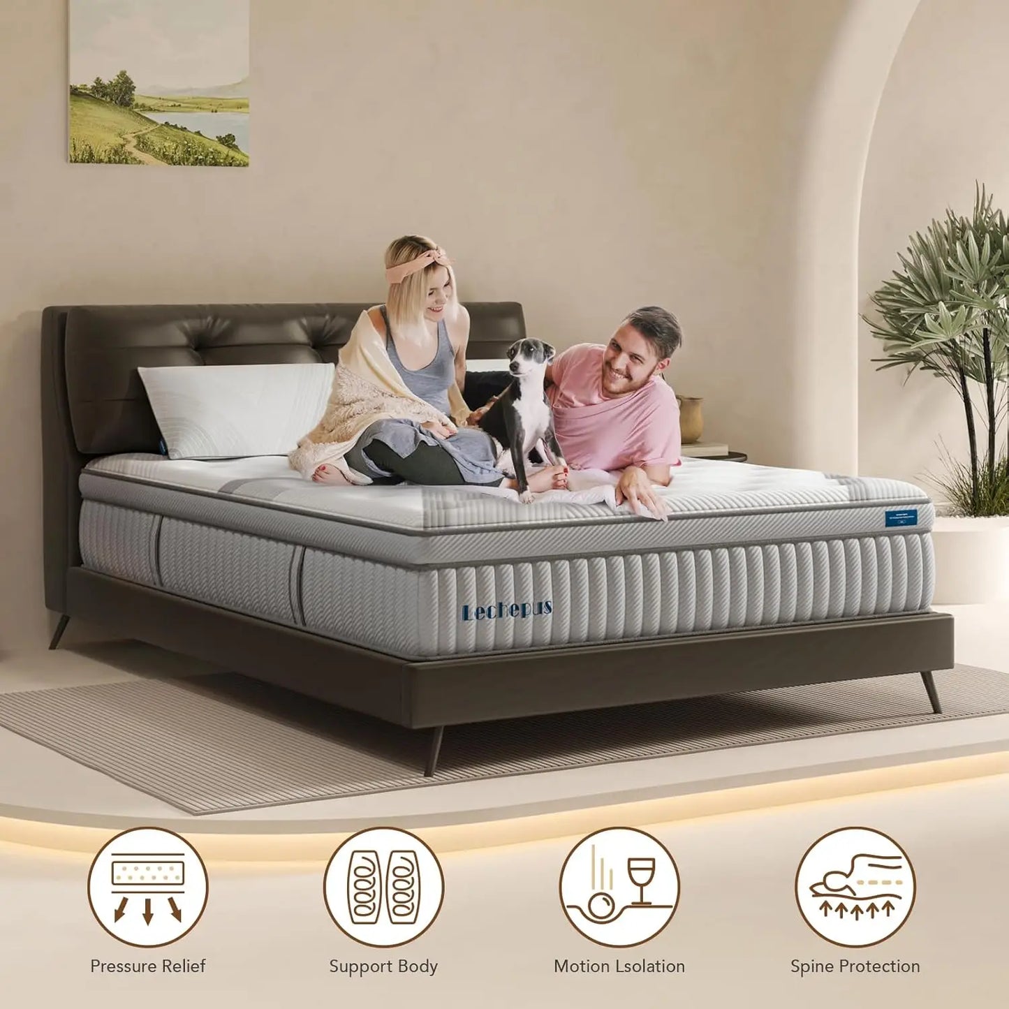 Full Mattress 14Inch Medium Plush Full Size Mattress in Box Hybrid Mattress with Memory Foam 7 Zone Individual Pocket Spring