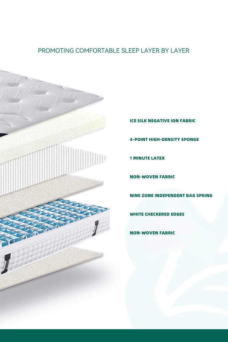 Ximengsi Mattress Soft Mattress Home Memory Cotton Latex Spring Coconut Brown Double Sided Five Star Hotel 22cm Thick