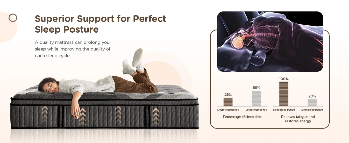 DIGLANT 14 Inch King Supportive Pressure Relief Soft Fabric Plush Hybrid Mattress Memory Foam with Pocket Springs Mattress