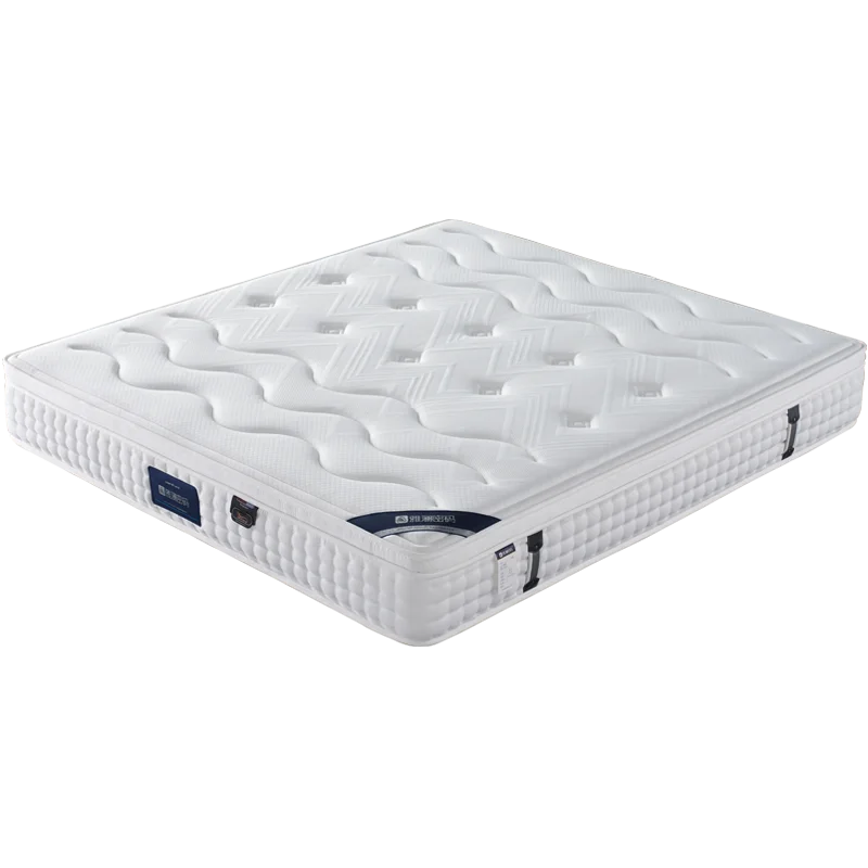 Ximengsi Mattress Soft Mattress Home Memory Cotton Latex Spring Coconut Brown Double Sided Five Star Hotel 22cm Thick