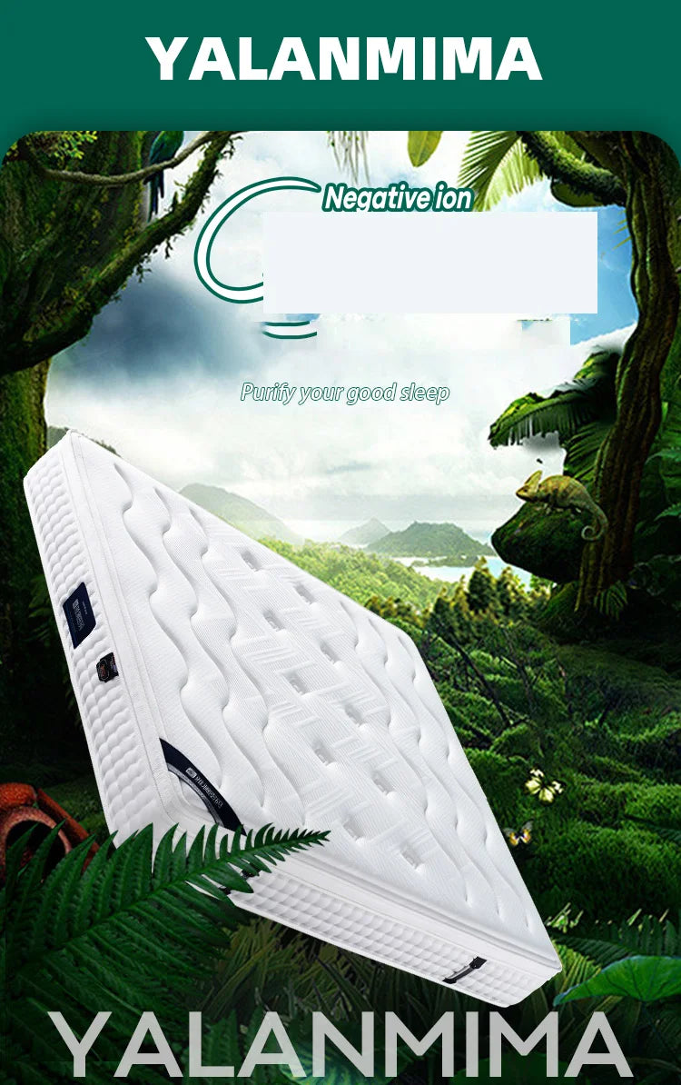 Ximengsi Mattress Soft Mattress Home Memory Cotton Latex Spring Coconut Brown Double Sided Five Star Hotel 22cm Thick