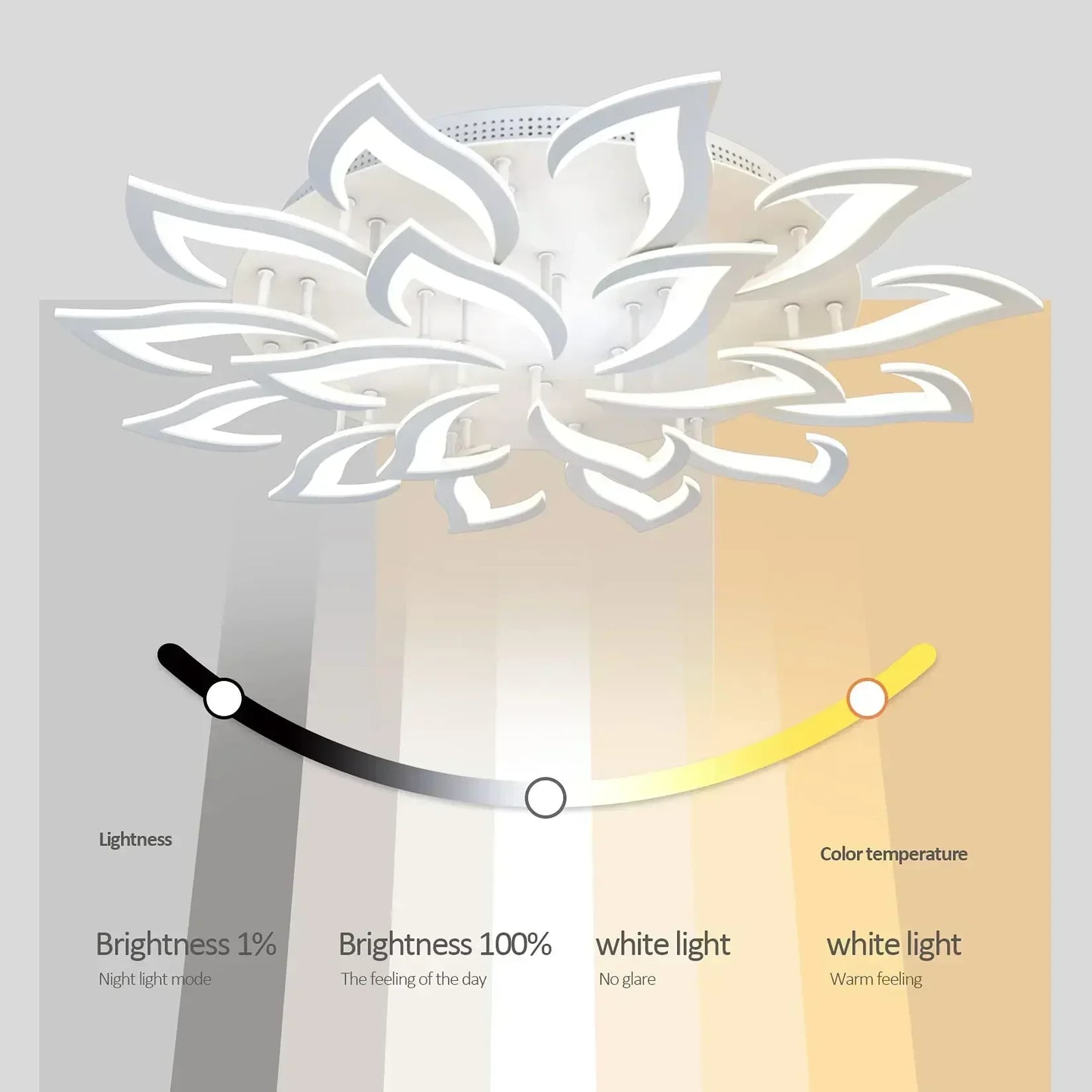 Led Ceiling Light for Living Room Bedroom Modern Acrylic Ceiling Lamp Interior Fancy Lights Decoration Lighting Fixtures