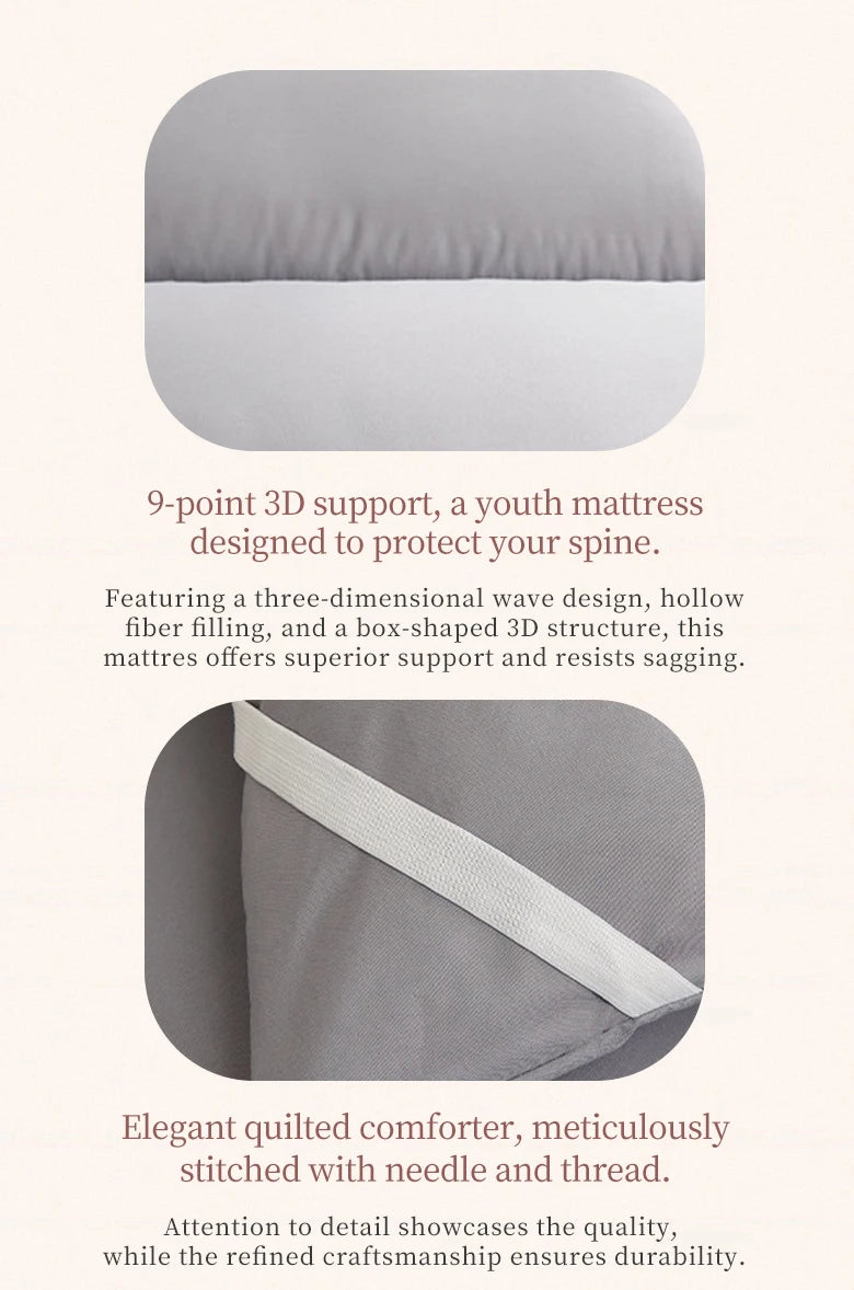 Premium Mattress Topper With Feather Velvet and Brushed Surface for Single/Double Beds Futon Sleeping Mats on the Floor Cover
