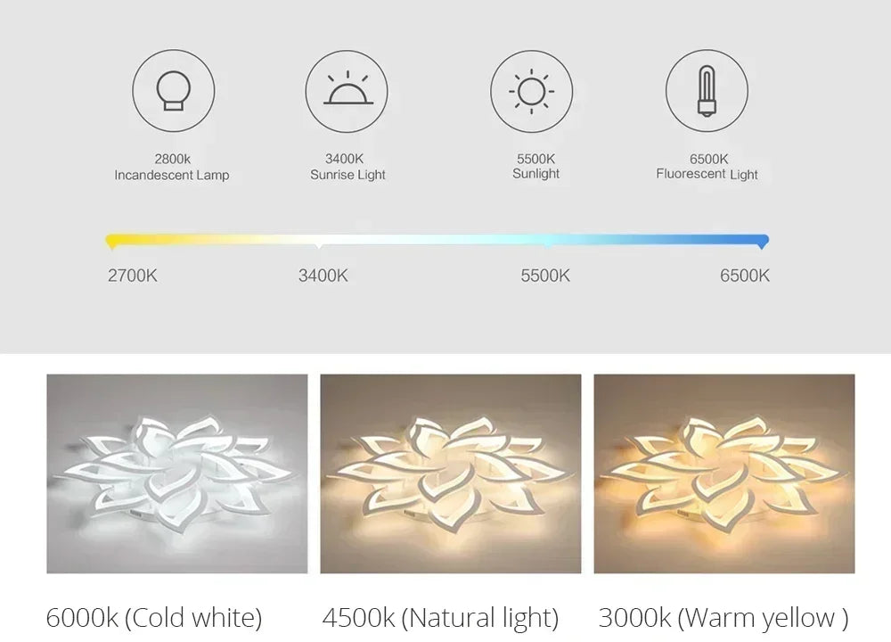 Led Ceiling Light for Living Room Bedroom Modern Acrylic Ceiling Lamp Interior Fancy Lights Decoration Lighting Fixtures