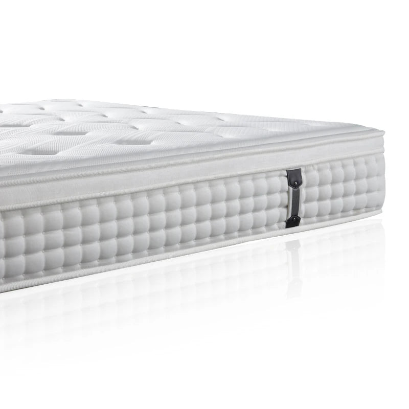 Ximengsi Mattress Soft Mattress Home Memory Cotton Latex Spring Coconut Brown Double Sided Five Star Hotel 22cm Thick
