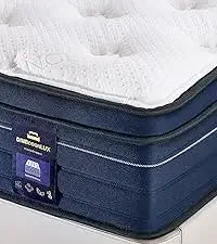 Queen ,14 Inch Gel Memory Foam Hybrid Mattress in a Box,Motion Isolation Individually Pocket Innerspring ,Pressure Relie