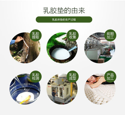 UVR High Grade Thicken High Density Natural Latex Mattress Bedroom Hotel Tatami Pad Bed Single Double Breathable Floor Mat