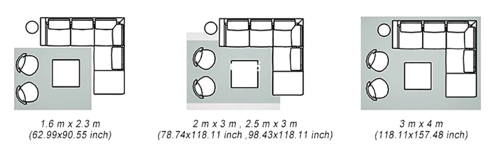 Grey Area Rugs for Living Room Bedroom carpet Soft Plush Fluffy Rug for Dorm Room Classroom Home Office Nursery Thick Carpet