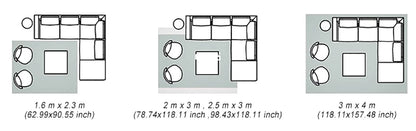 Grey Area Rugs for Living Room Bedroom carpet Soft Plush Fluffy Rug for Dorm Room Classroom Home Office Nursery Thick Carpet