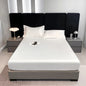 Rayon Satin Waterproof Fitted Sheet Silky Solid Color Bed Sheet Elastic Band Sheets Smooth Bedsheet Mattress Cover