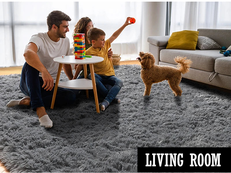 Grey Area Rugs for Living Room Bedroom carpet Soft Plush Fluffy Rug for Dorm Room Classroom Home Office Nursery Thick Carpet