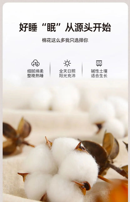 Bedroom Portable Mattress Chinese Hotel Couple Tourist Mattress Twin Bed Full Folding King Single Materassi Postmodern Furniture