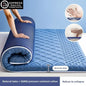 Latex mattress cushion, household bedroom sponge pad
