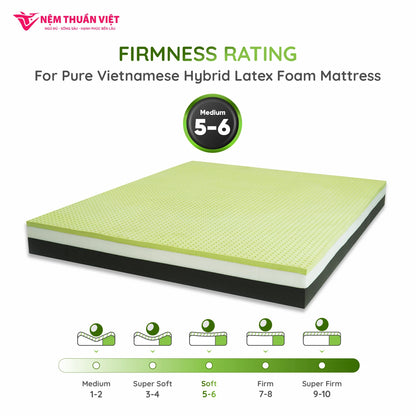 King Size Skin-Friendly Eco Friendly Massage Hybrid Natural Latex With Memory Foam Mattress Elastic Hotels Factory in VietNam