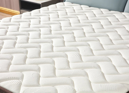 10 Inch High Quality Bed Bug Proof Single Double Queen king Hotel Home Use Soft Rolled up 100% Organic Cotton Futon Mattress