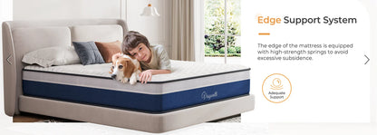 10 Inch Hybrid Mattress with Breathable Memory Foam and Individual Pocket Spring-Medium Firm