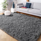 Grey Area Rugs for Living Room Bedroom carpet Soft Plush Fluffy Rug for Dorm Room Classroom Home Office Nursery Thick Carpet