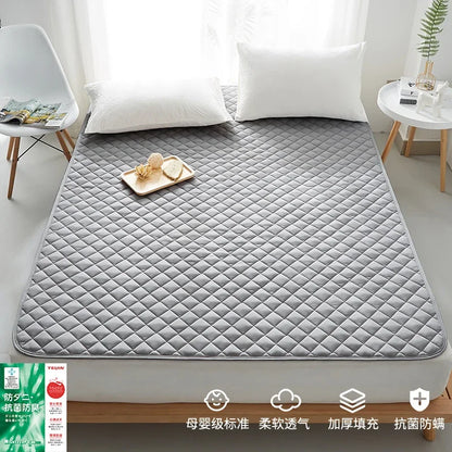 Dropshipping Customizable Size Mattress Soft Mattress Home Tatami Mat Was The Floor Mat Student SA17-6599
