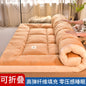 Soft comfortable mattress home thickened ultra-soft dormitory student single double mattress tatami floor sleeping mat