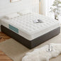 117008I Quanu Comfortable Soft King Size Customization Bedroom Latex Mattress Home Mattresses