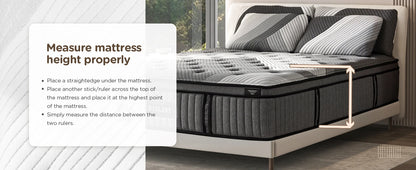 DIGLANT 14 Inch King Supportive Pressure Relief Soft Fabric Plush Hybrid Mattress Memory Foam with Pocket Springs Mattress