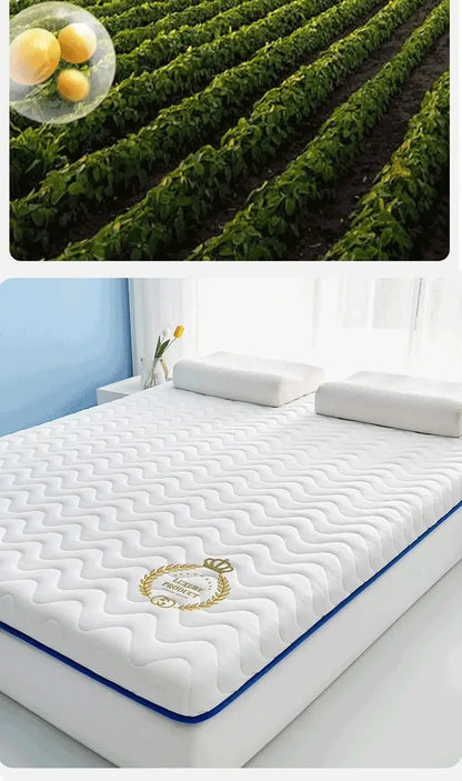 Latex mattress cushion, household bedroom sponge pad