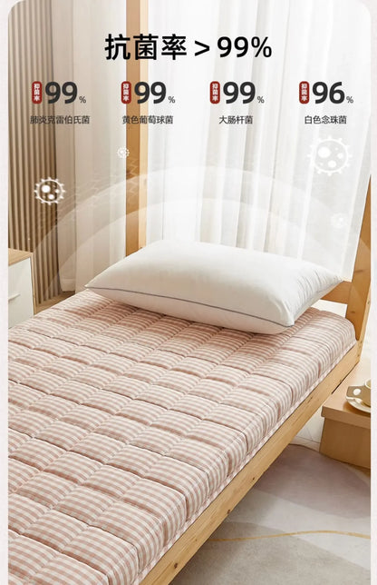 Bedroom Portable Mattress Chinese Hotel Couple Tourist Mattress Twin Bed Full Folding King Single Materassi Postmodern Furniture