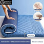 Latex mattress cushion, household bedroom sponge pad