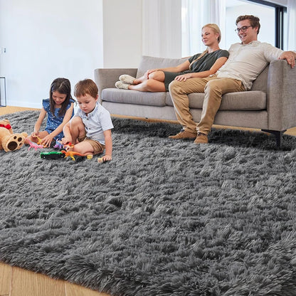 Grey Area Rugs for Living Room Bedroom carpet Soft Plush Fluffy Rug for Dorm Room Classroom Home Office Nursery Thick Carpet