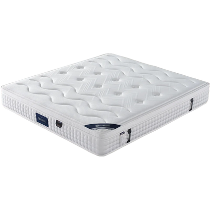 Ximengsi Mattress Soft Mattress Home Memory Cotton Latex Spring Coconut Brown Double Sided Five Star Hotel 22cm Thick