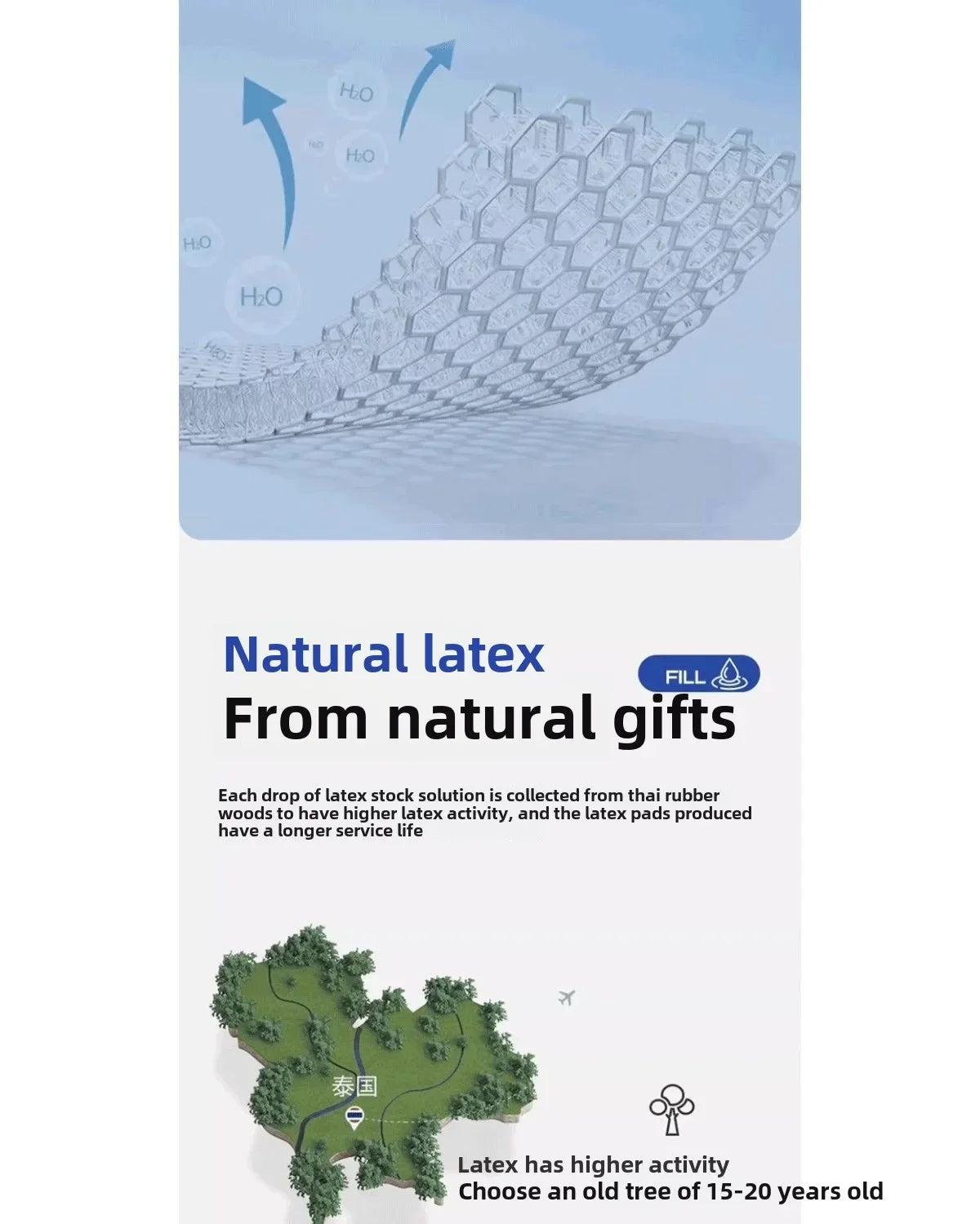 Latex mattress cushion, household bedroom sponge pad