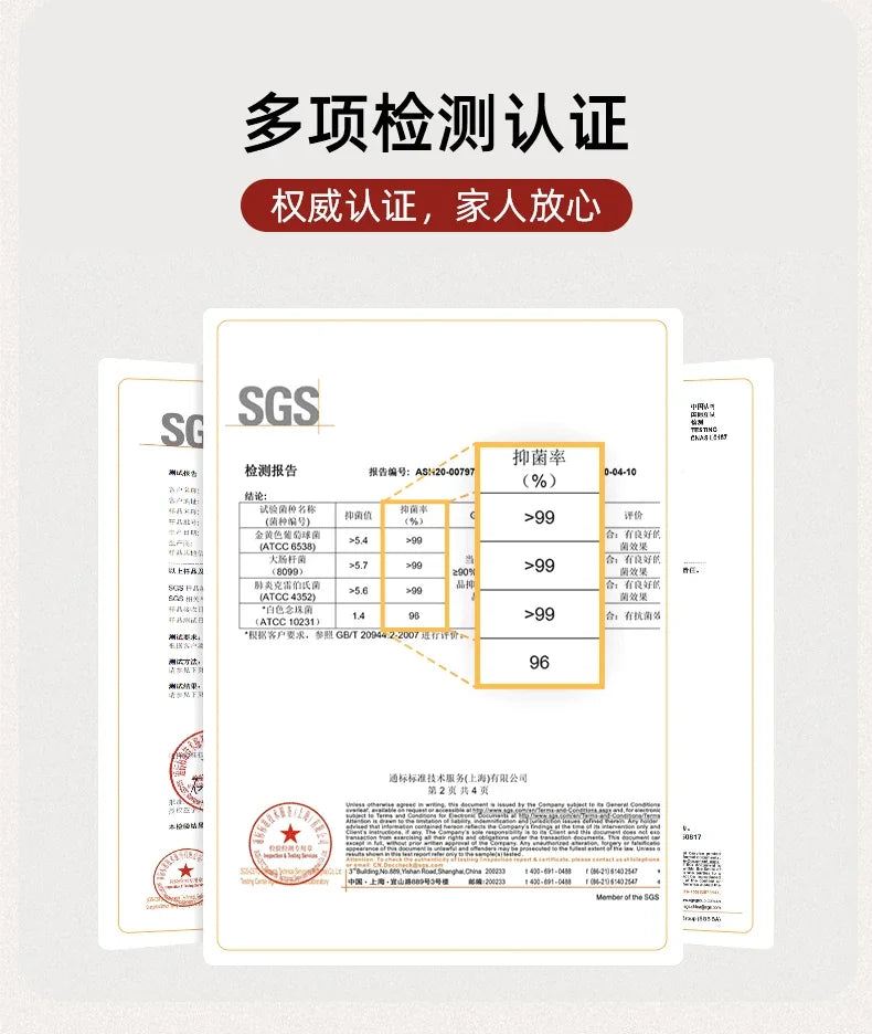 Bedroom Portable Mattress Chinese Hotel Couple Tourist Mattress Twin Bed Full Folding King Single Materassi Postmodern Furniture