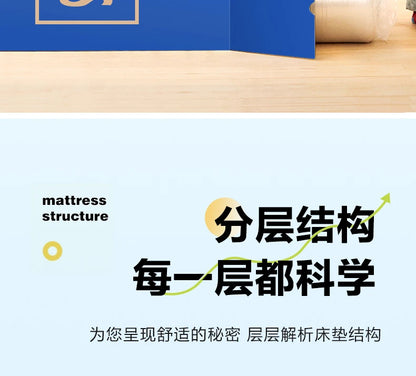 High Quality Folding Mattresses Hard Double Firm King Bedroom Mattresses Queen Spring Colchones Matrimoniales Salon Furniture