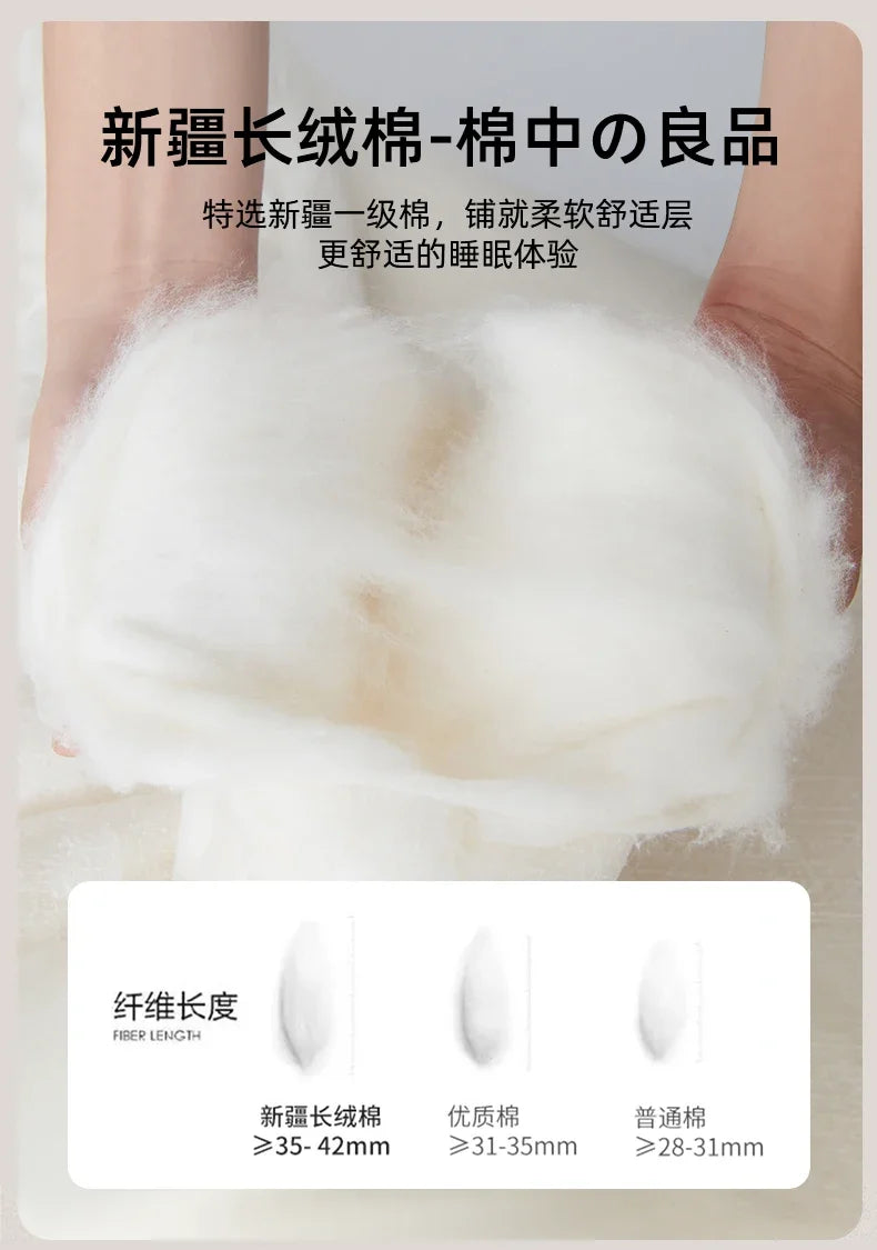Bedroom Portable Mattress Chinese Hotel Couple Tourist Mattress Twin Bed Full Folding King Single Materassi Postmodern Furniture