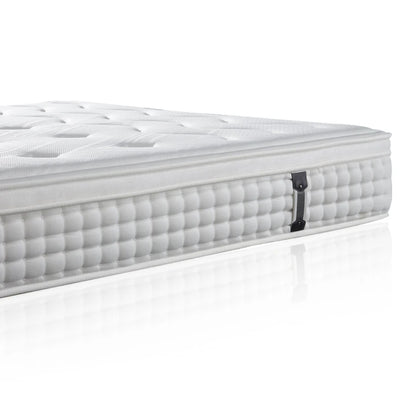 Ximengsi Mattress Soft Mattress Home Memory Cotton Latex Spring Coconut Brown Double Sided Five Star Hotel 22cm Thick